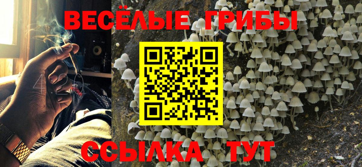 Галлюциногенные грибы мухоморы Вятские Поляны